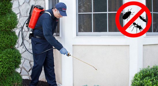 Pervari Bit İlaçlama böcek ilaçlama ve haşere kontrolü — ilaclama-tr.com